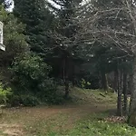 Mountain Route Tatil Evi